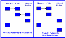 why do dna test for immigration cost more than paternity dna test 02