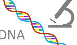 Genealogical DNA Testing
