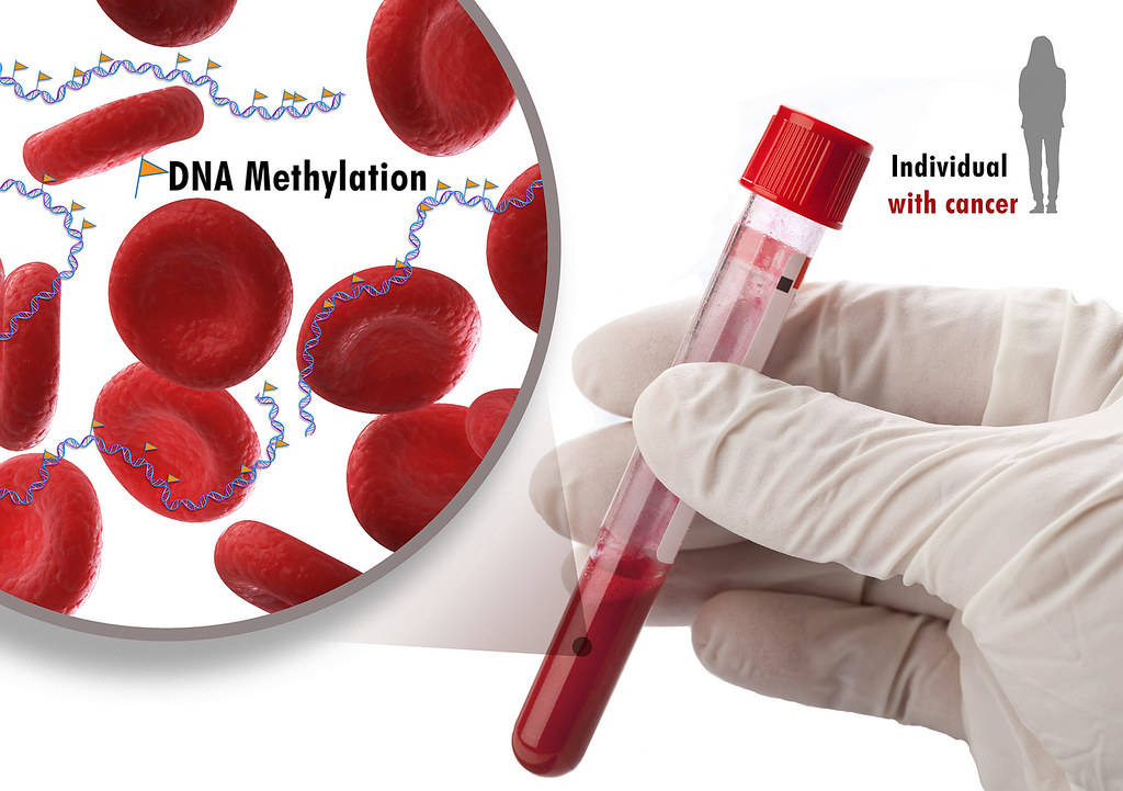 Importance of DNA Testing NYC in Medicine